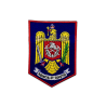 Insemn I.G.S.U. Scut - Pompieri